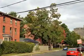 Collins and Townley Streets District