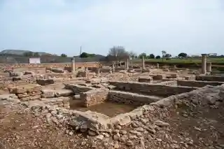 Pollentia