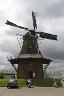 De Ropta, Metslawier