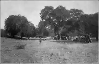 Fort Buchanan